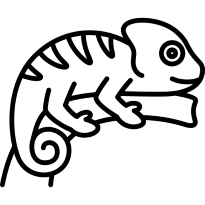 Image d'un cameleon